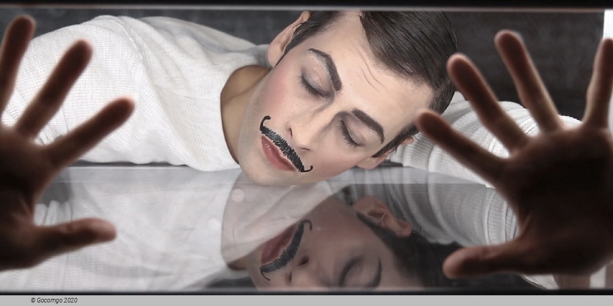 Scene 4 from the play "Beware of Pity", photo 4