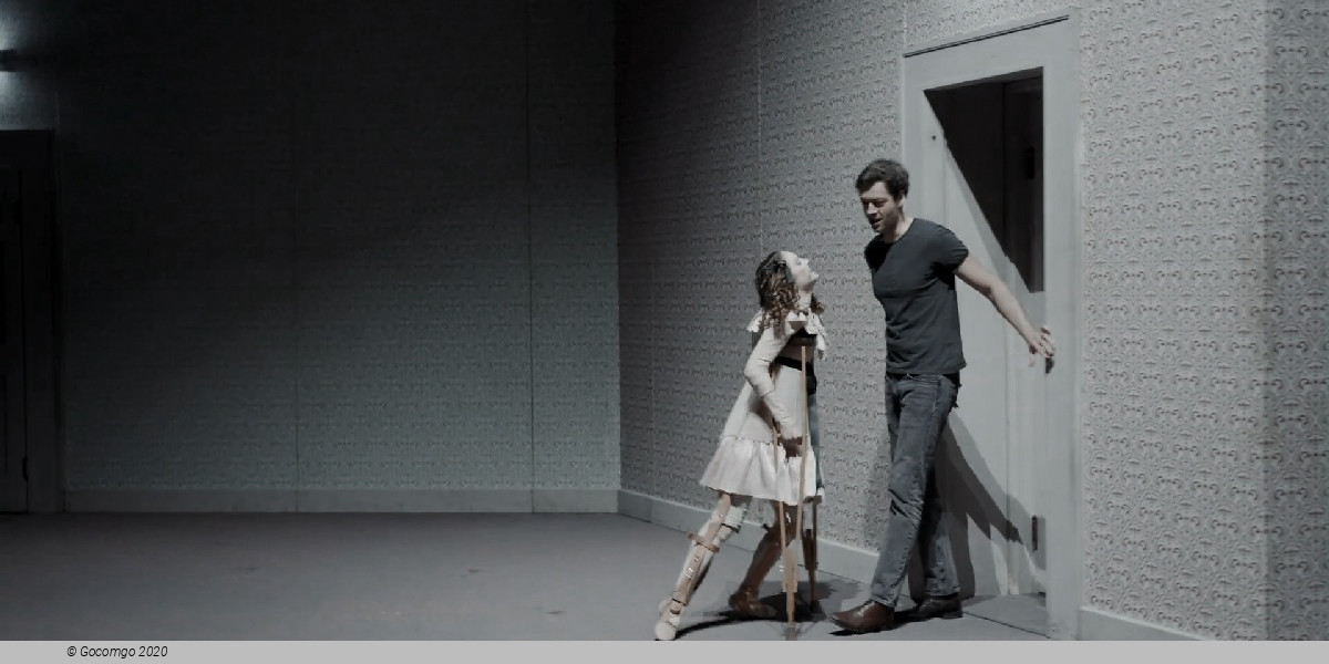 Scene 7 from the play "Beware of Pity", photo 7