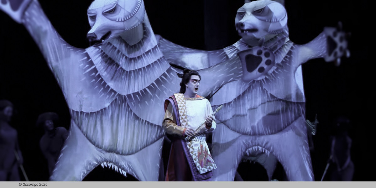 The Magic Flute - Holiday Presentation, photo 12