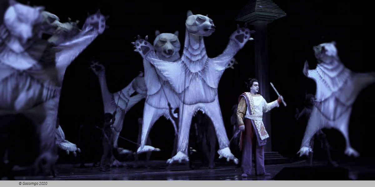 The Magic Flute - Holiday Presentation