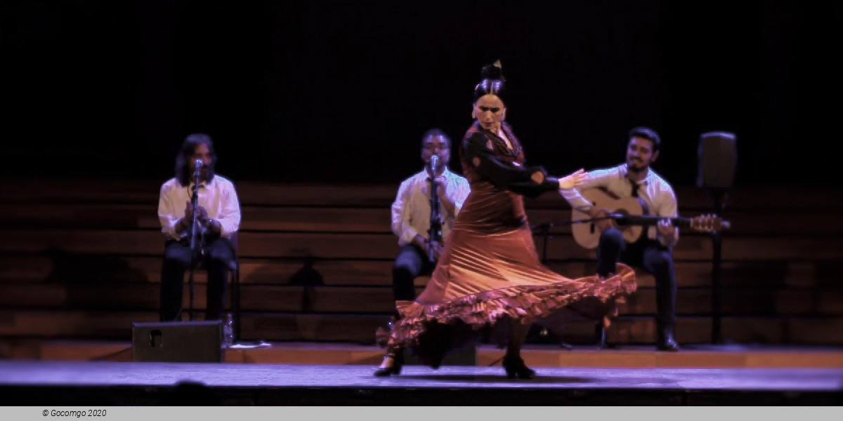 Flamenco Show, photo 1