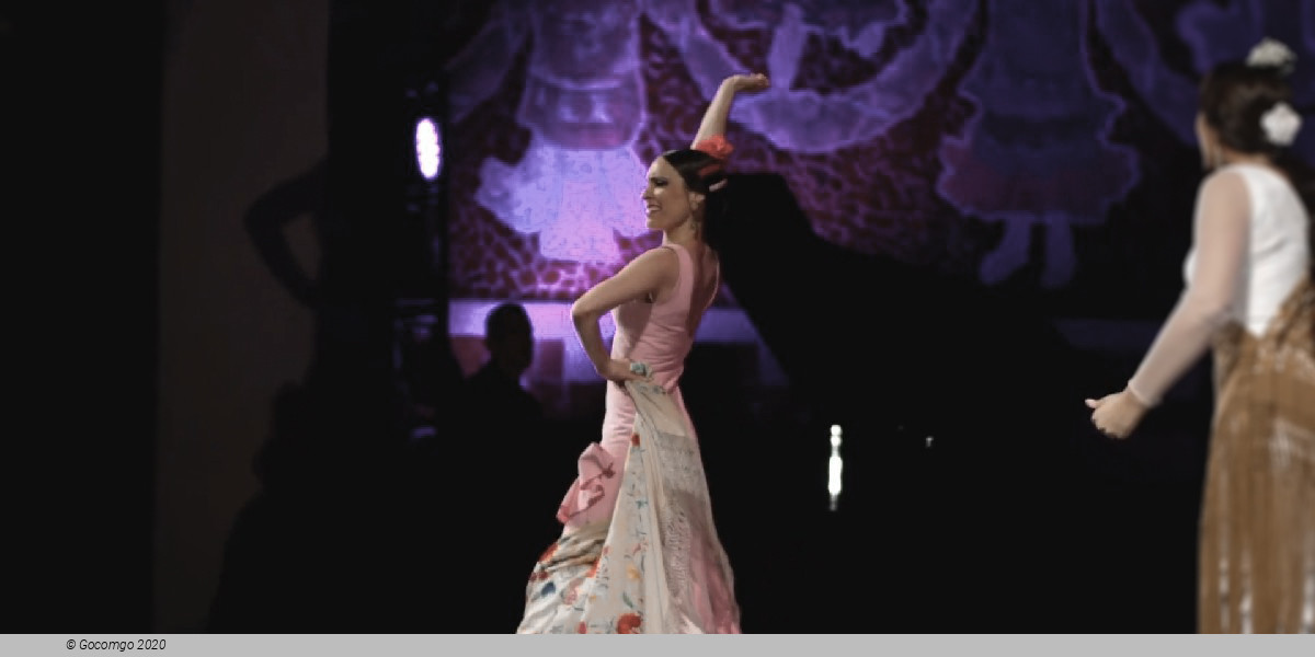 Scene 6 from the show Grand Flamenco Gala, photo 6