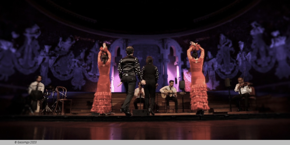 Scene 7 from the show Grand Flamenco Gala, photo 7