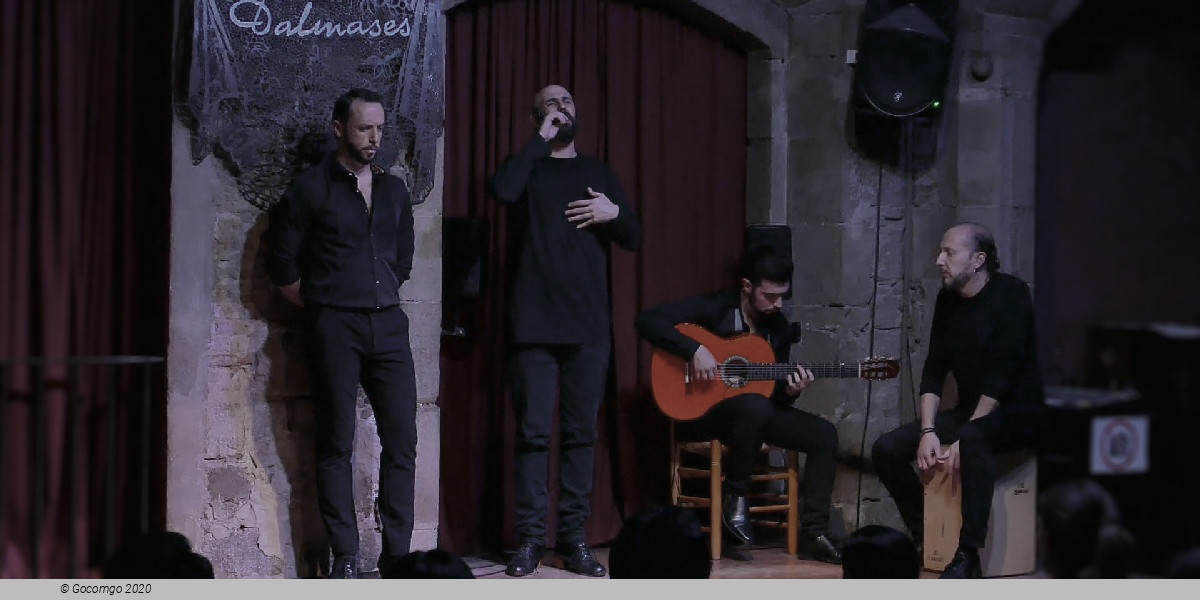 Scene 1 from the Flamenco Show in Dalmases Palace, photo 2
