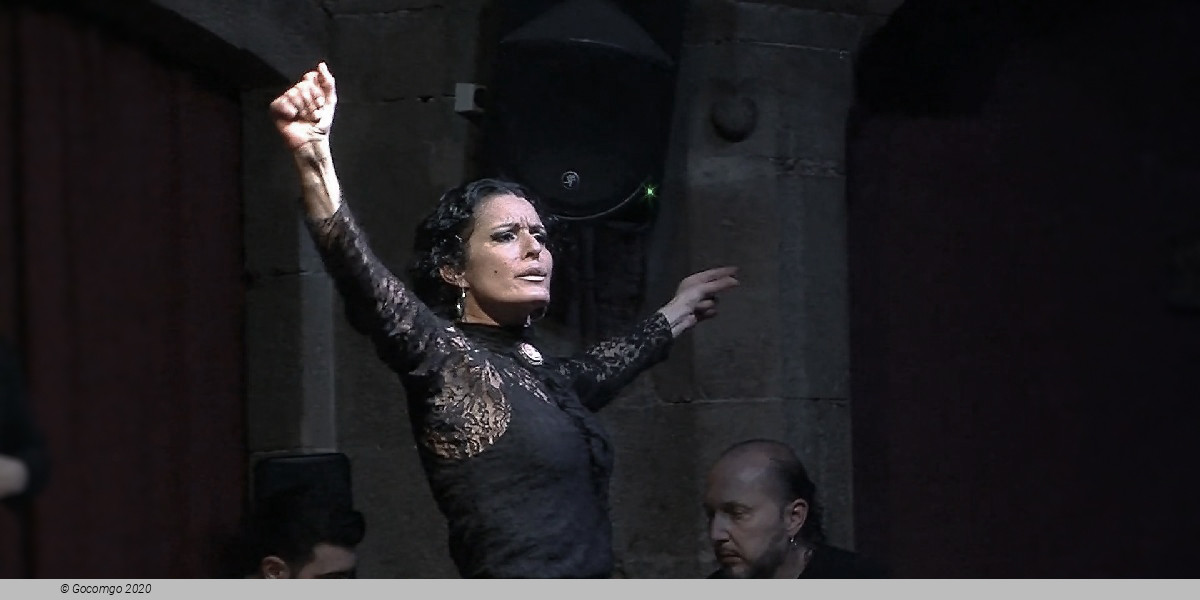 Scene 2 from the Flamenco Show in Dalmases Palace, photo 1