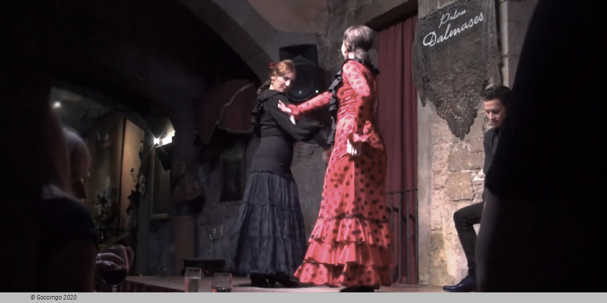Scene 5 from the Flamenco Show in Dalmases Palace, photo 5