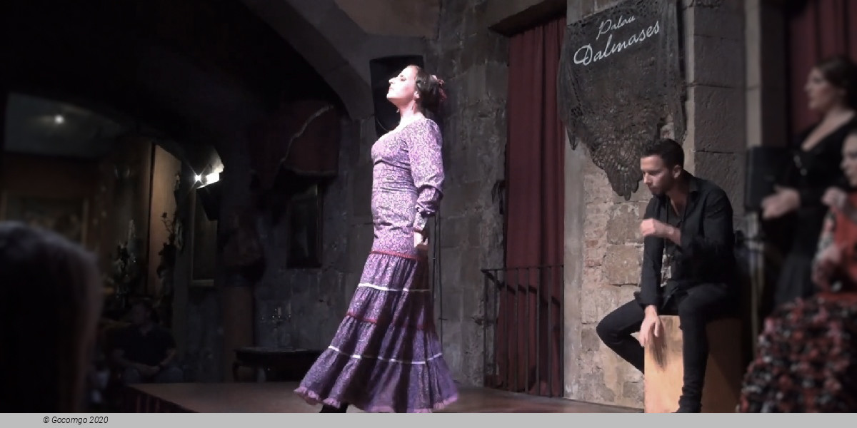 Scene 6 from the Flamenco Show in Dalmases Palace, photo 6