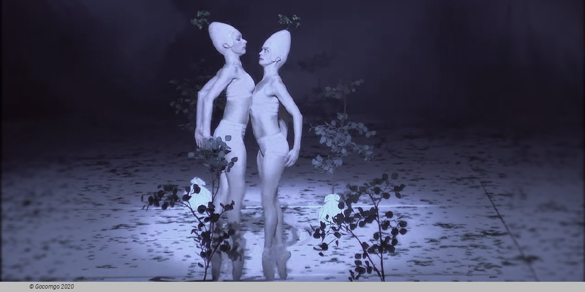 Scene 4 from the modern ballet "Escapist", photo 4