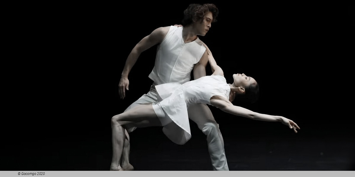 Dance archives in Japan, photo 4, photo 4