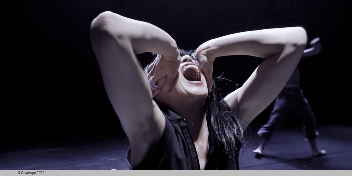 Scene 1 from the modern ballet "Asylum", photo 2