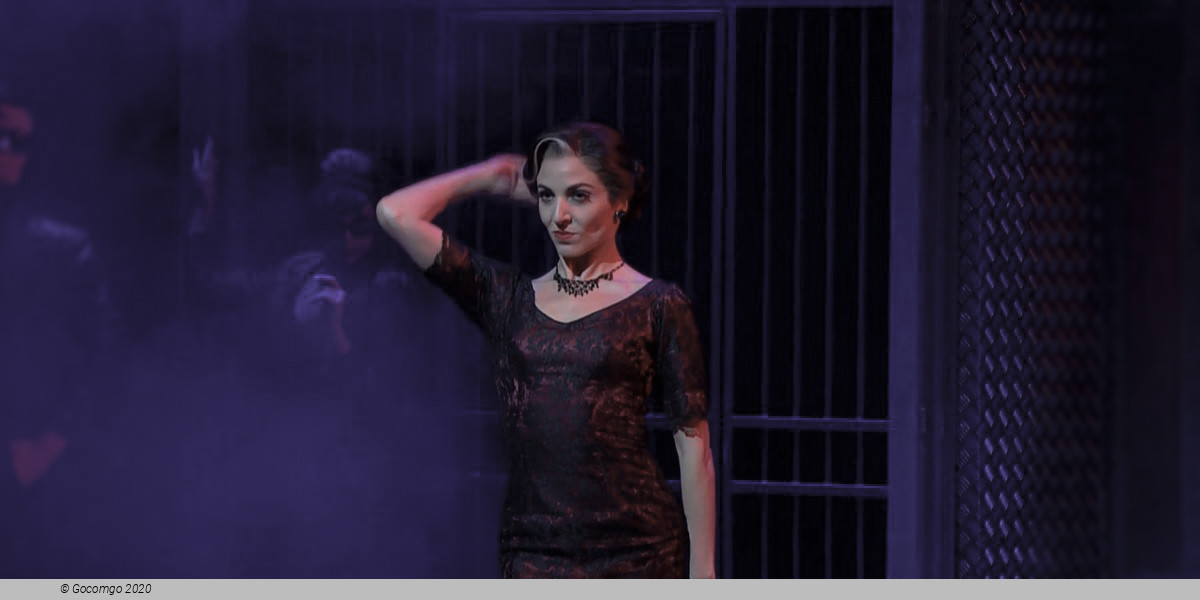 Scene 10 from the modern ballet "The Car Man", photo 11