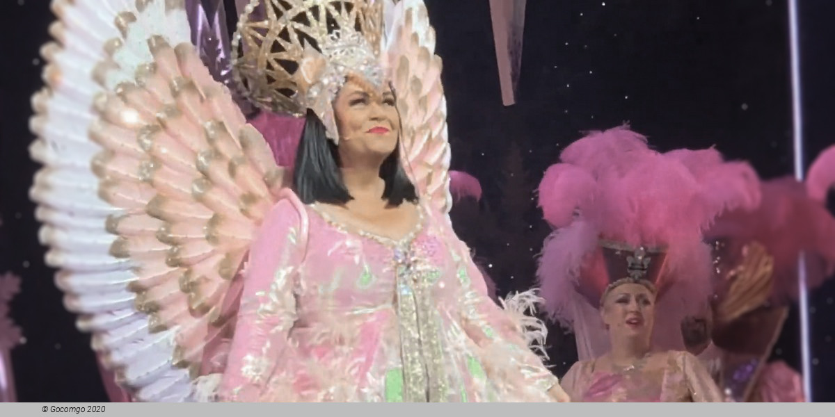 Scene 1 from the show "Snow White and the Seven Dwarfs", photo 2