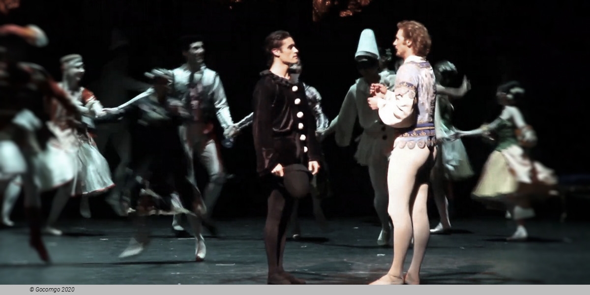 Scene 1 from the ballet "Illusions – like Swan Lake"