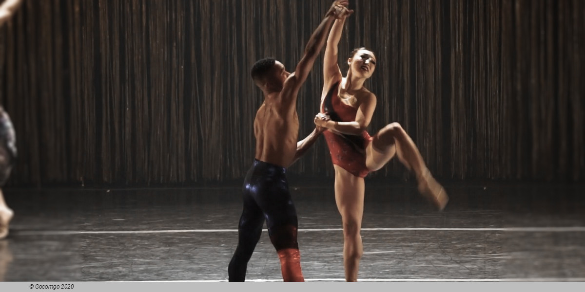 Scene 2 from the show "Star Dust - From Bach to Bowie", photo 2