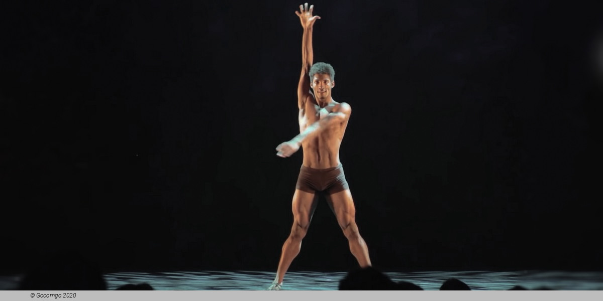 Ballet Revolucion, photo 2, photo 3