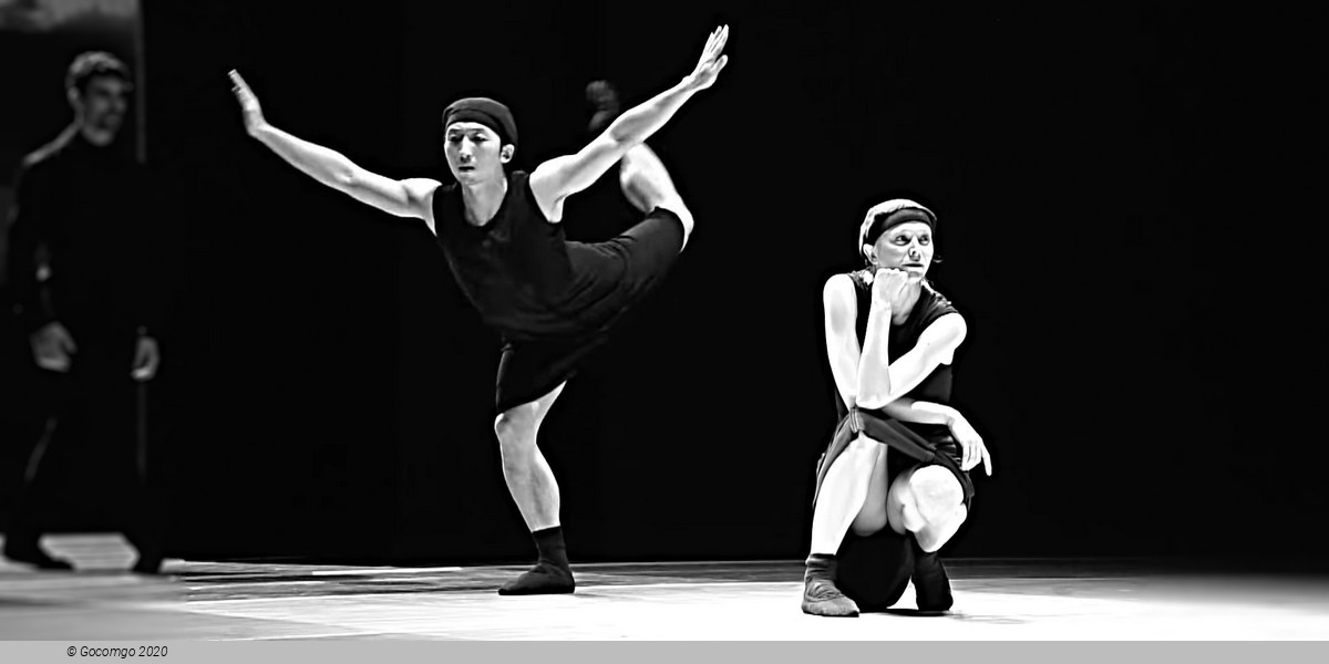 Scene 3 from the modern ballet "Schmetterling", photo 9