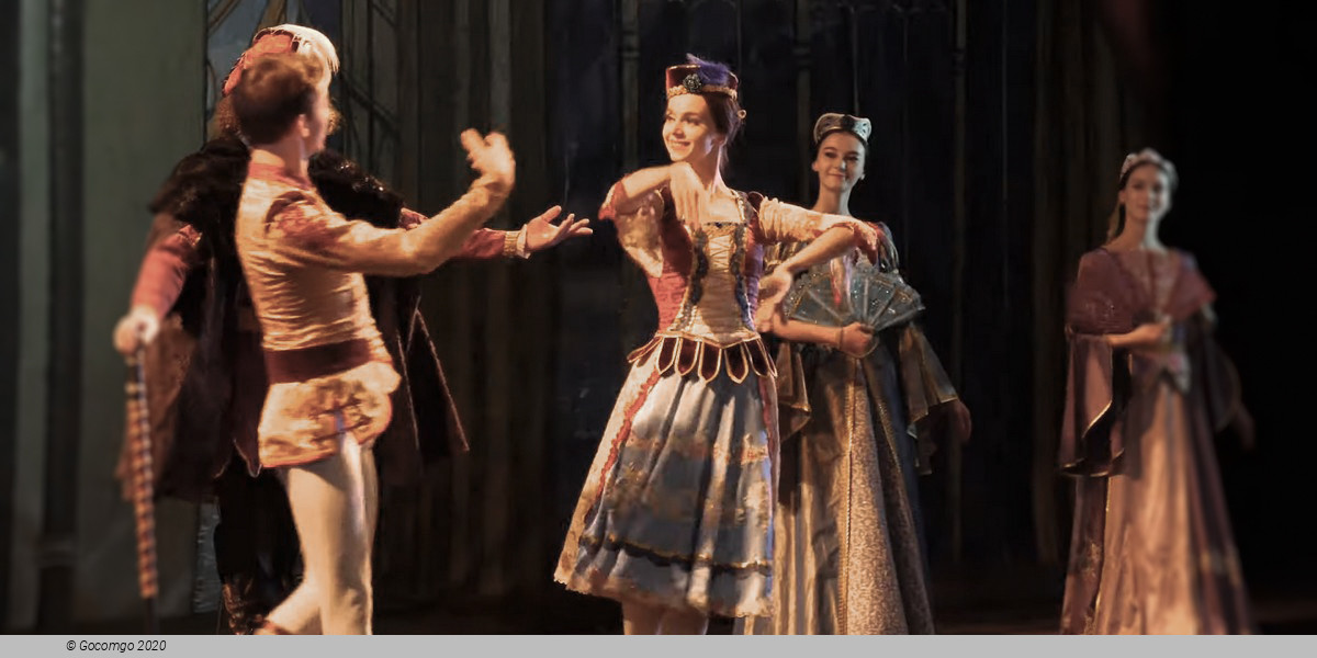 Scene 4 from the ballet "Swan Lake", photo 4