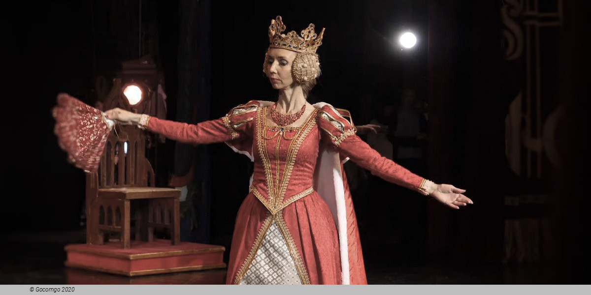 Scene 5 from the ballet "Swan Lake", photo 5