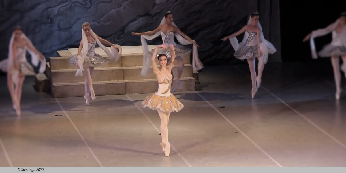 Scene 4 from the ballet "The Lady of the Camellias". Photo by State Academic Theater of Classical Ballet by N.Kasatkina and V.Vasilev, photo 4