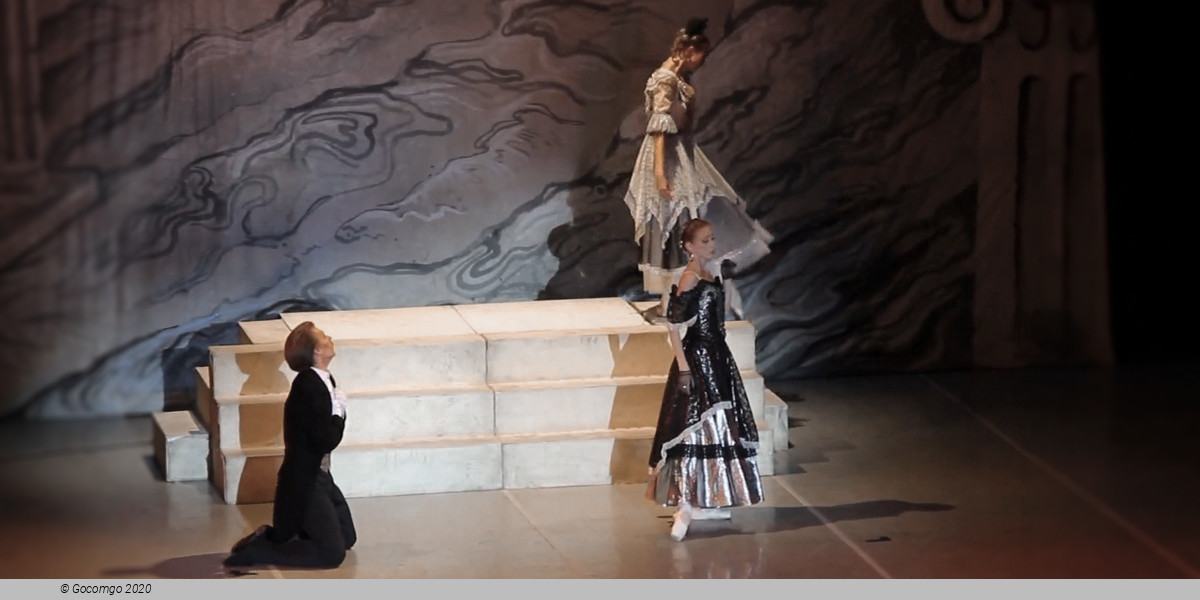 Scene 7 from the ballet "The Lady of the Camellias". Photo by State Academic Theater of Classical Ballet by N.Kasatkina and V.Vasilev, photo 7