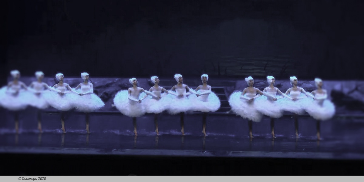 Scene 2 from the show "Swan Lake on the Water", photo 3