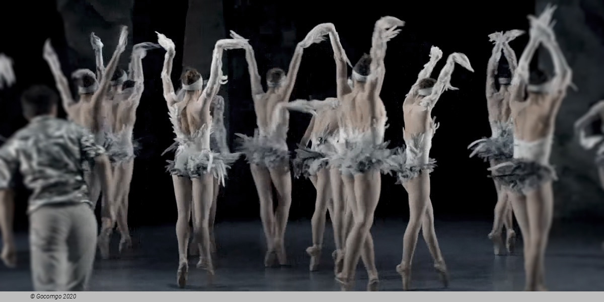 Scene 1 from the modern ballet "Lac - after the Swan Lake", photo 2