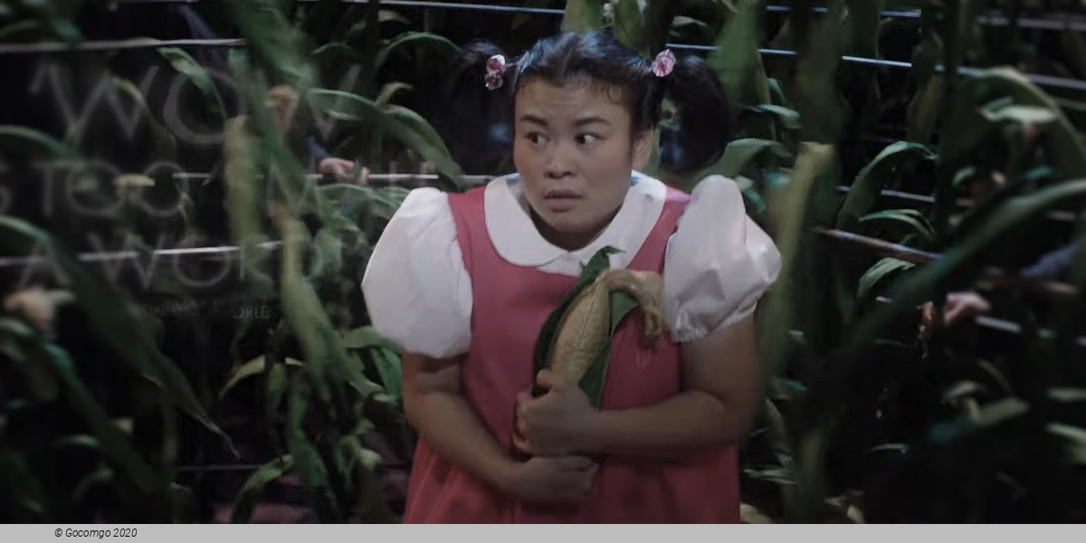 My Neighbour Totoro, photo 7