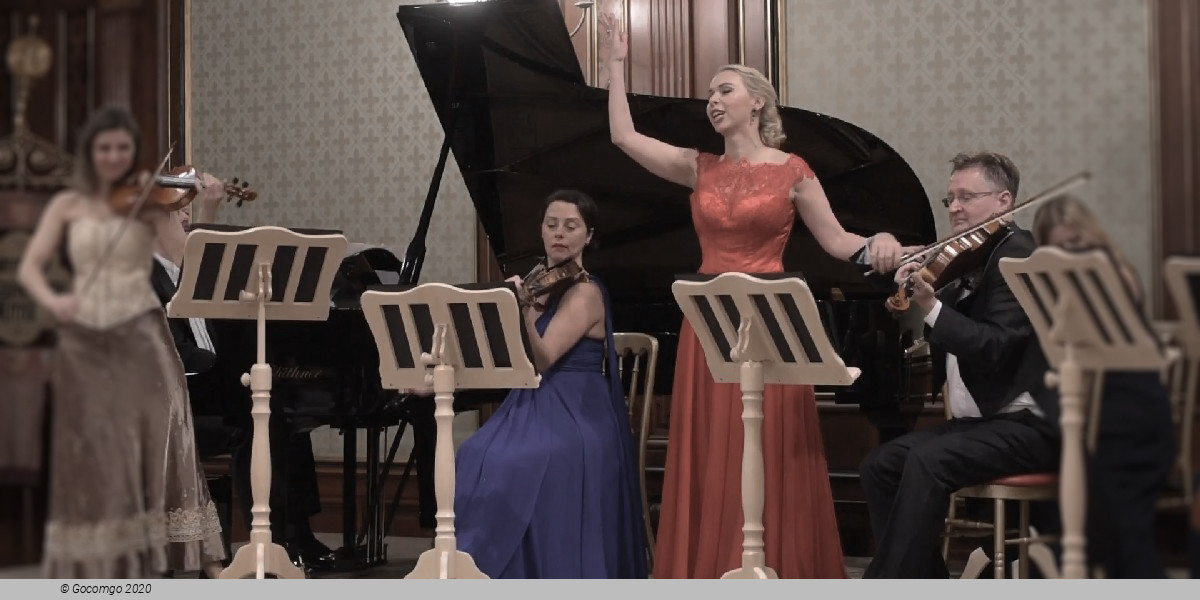 Scene 1 from "Vienna Supreme Concerts", photo 1