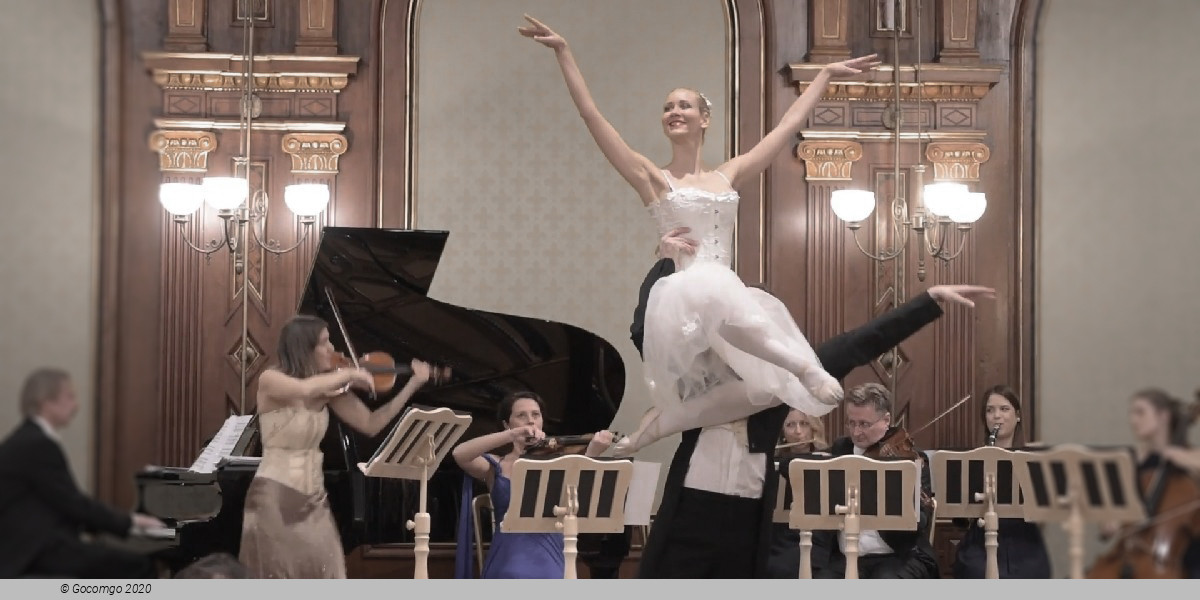 Scene 6 from "Vienna Supreme Concerts", photo 6