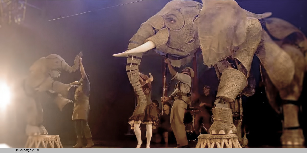 Scene 2 from the show "Circus 1903"