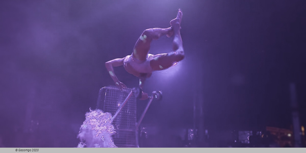 Scene 4 from the show "La Clique", photo 5