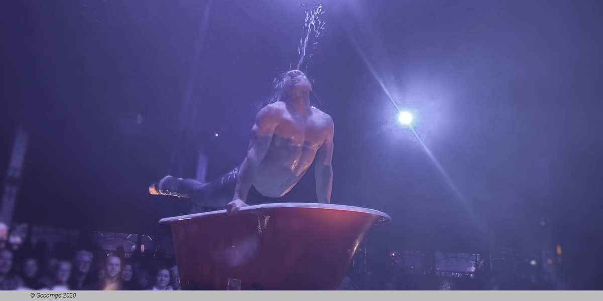 Scene 6 from the show "La Clique", photo 7