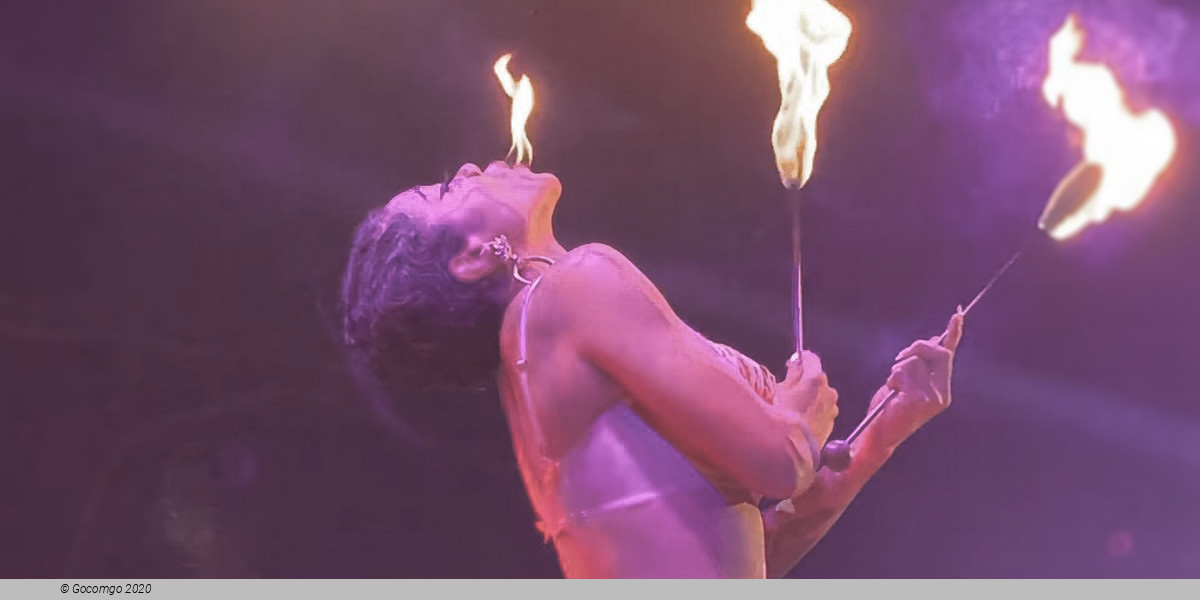 Scene 8 from the show "La Clique", photo 1