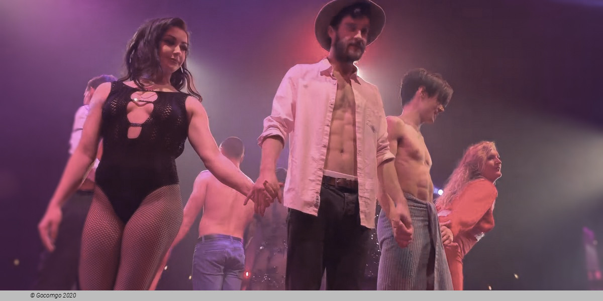 Scene 9 from the show "La Clique", photo 9