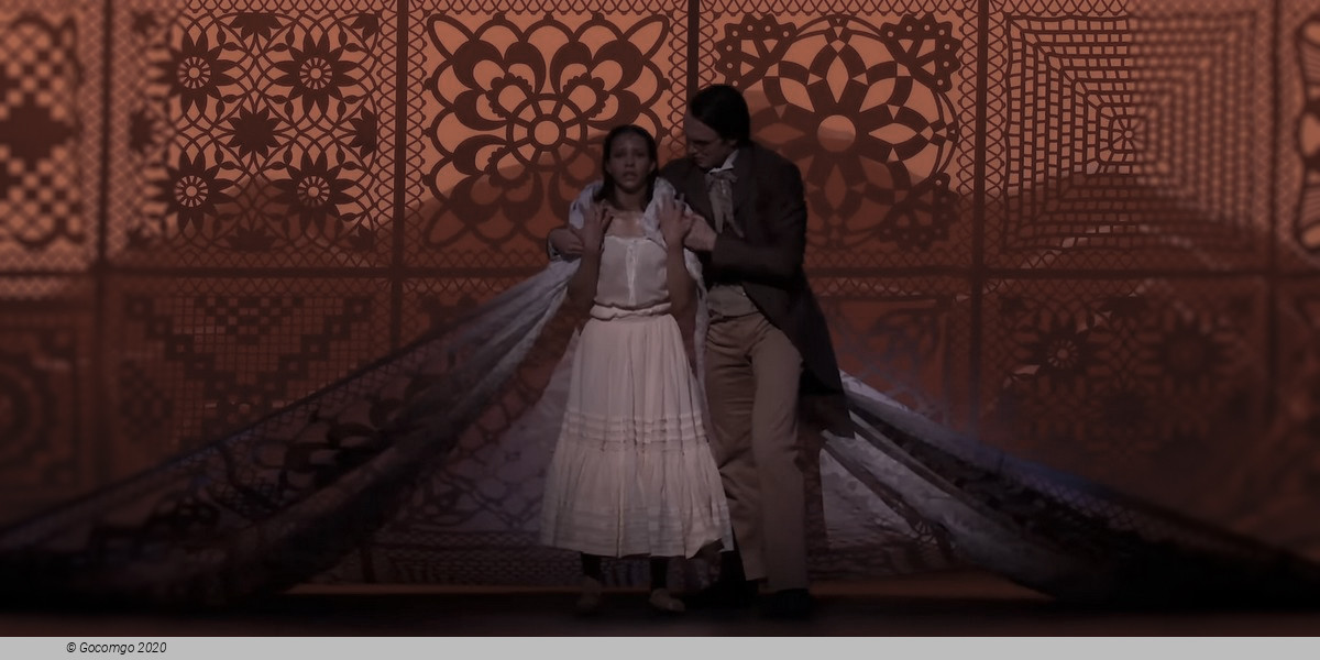 Scene 2 from the ballet "Like Water for Chocolate", photo 1