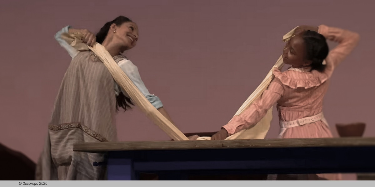 Scene 5 from the ballet "Like Water for Chocolate", photo 5