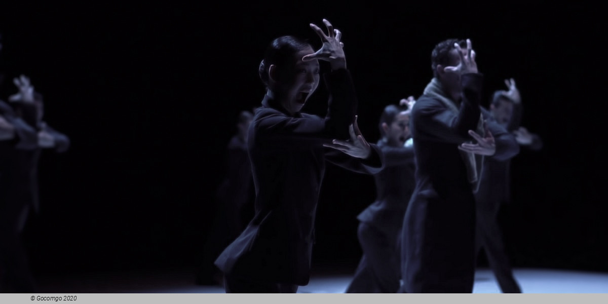 Scene 3 from the modern ballet "Nijinski", photo 4