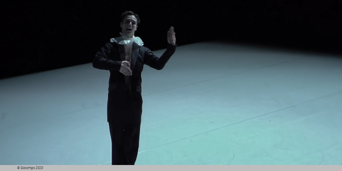 Scene 6 from the modern ballet "Nijinski", photo 6
