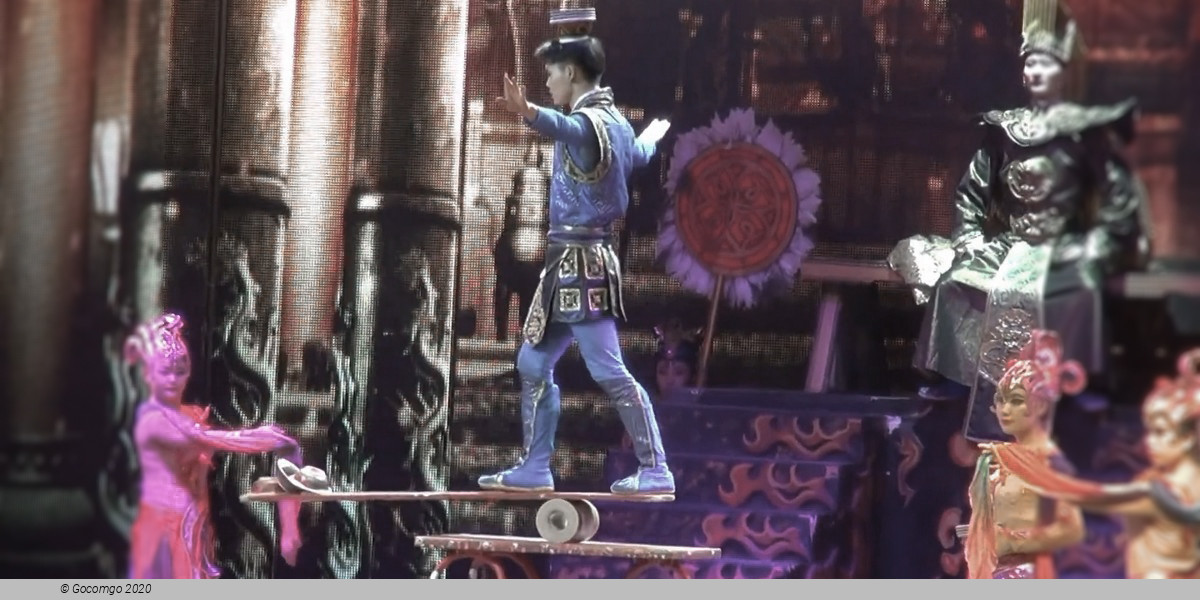 Scene 4 from the Flying Acrobatics Show, photo 4