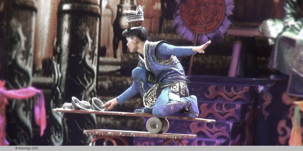 Scene 5 from the Flying Acrobatics Show, photo 5