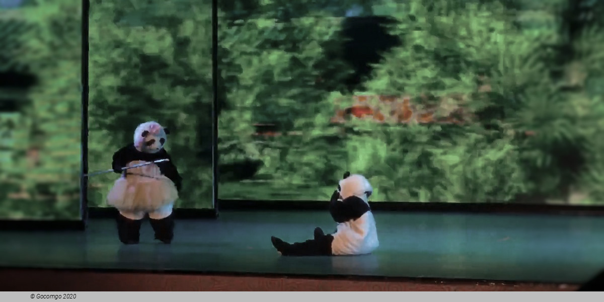 Scene 4 from the "Panda Kung Fu Show", photo 4