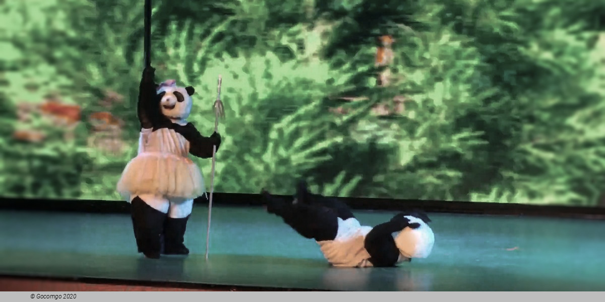Scene 5 from the "Panda Kung Fu Show", photo 5