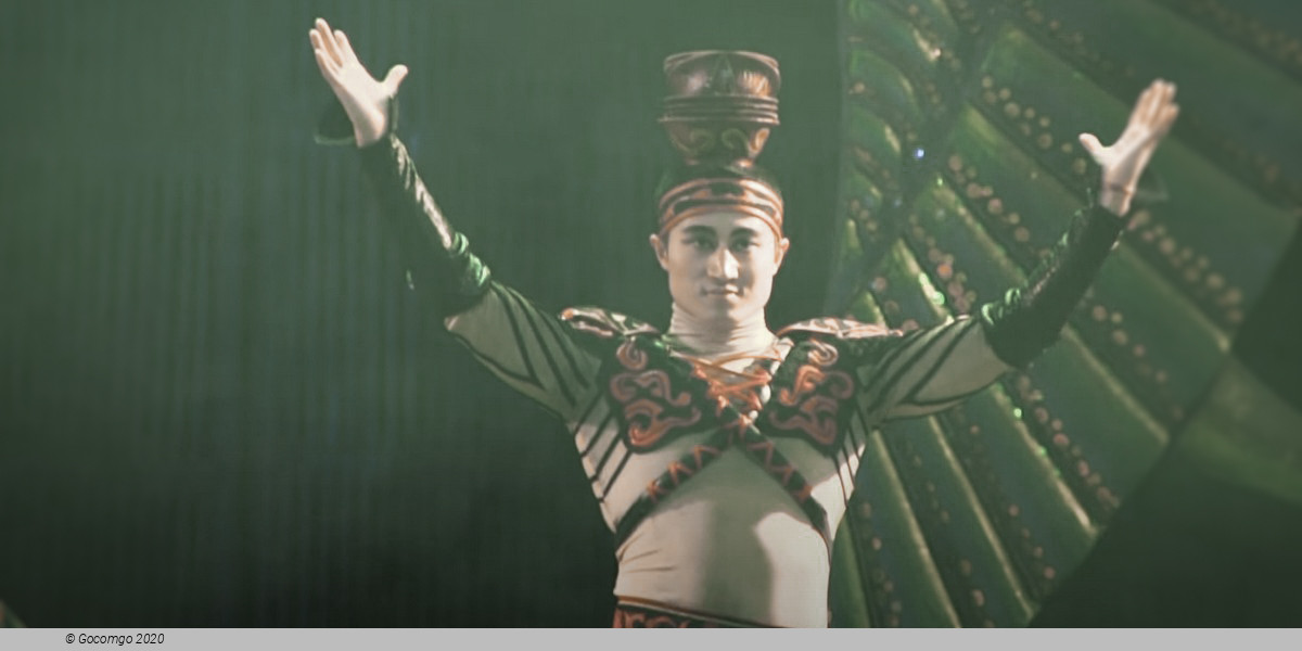 Scene 8 from the "Star Dream" Acrobatic Show, photo 8