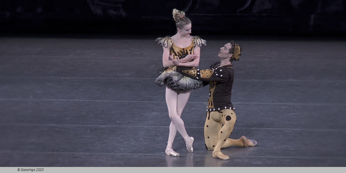 Danses Concertantes / Different Drummer / Requiem, photo 1