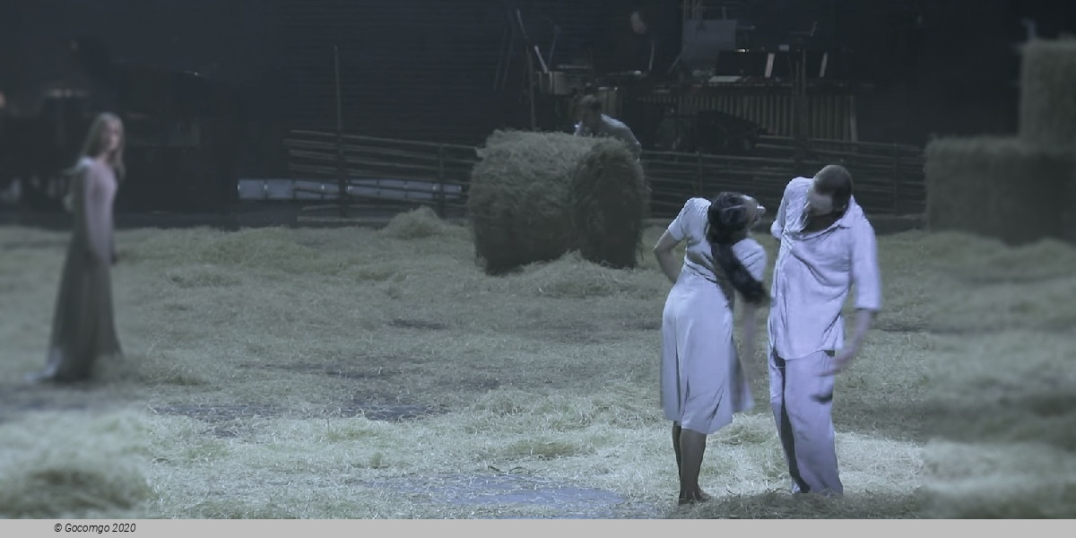 A Midsummer Night's Dream, photo 5