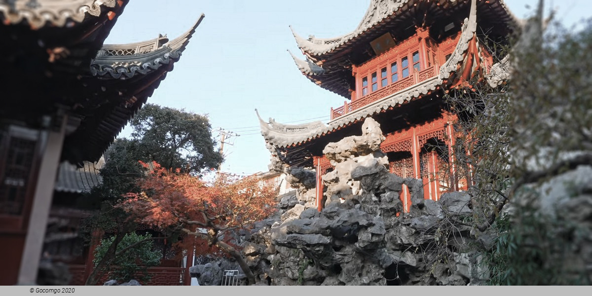 Private Shore Excursion of Amazing Shanghai City Highlights with Lunch