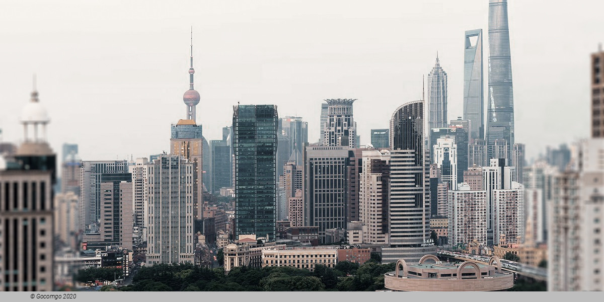 Private Shore Excursion of Amazing Shanghai City Highlights with Lunch