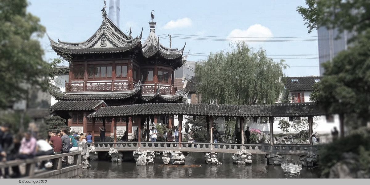 Private Shore Excursion of Amazing Shanghai City Highlights with Lunch