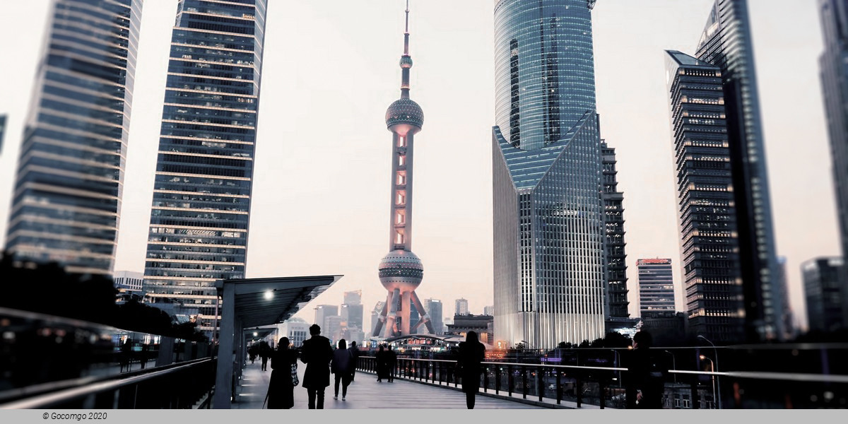 Private Shore Excursion of Amazing Shanghai City Highlights with Lunch