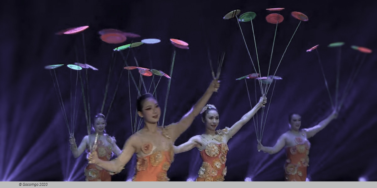 Din Tai Fung Dinner Experience and Acrobatics Show in Shanghai, photo 7
